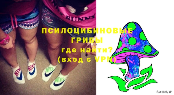 Альфа ПВП Белокуриха
