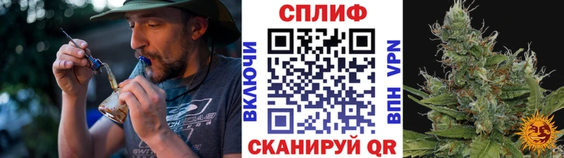 Шишки марихуана марихуана  наркотики  Светлогорск 